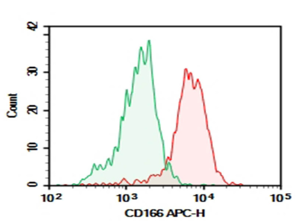 AF/LE Purified Anti-Human CD166 Antibody[3A6] (AN004260)
