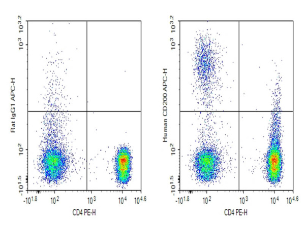 Purified Anti-Human CD200 Antibody[H1070-6G3] (AN010370P)