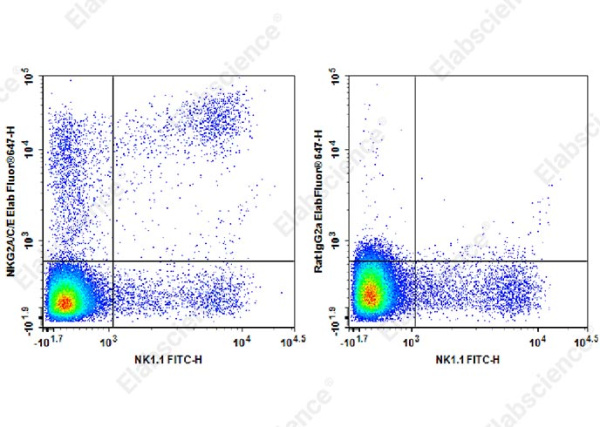 Elab Fluor® 647 Anti-Mouse NKG2A/C/E Antibody[20d5] (AN00409M)