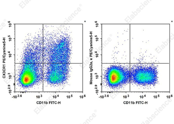 PE/Cyanine 5 Anti-Mouse CX3CR1 Antibody[SA011F11] (AN01022G)