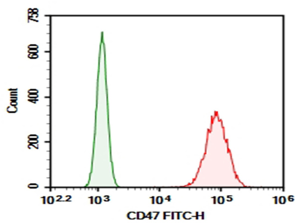 AF/LE Purified Anti-Human CD47 Antibody[B6H12] (E-AB-F14130)