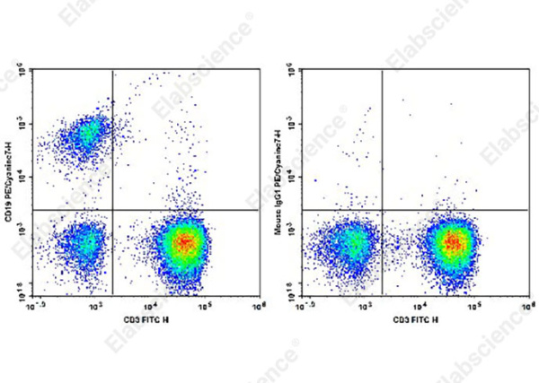 PE/Cyanine7 Anti-Human CD19 Antibody[SJ25C1] (AN00334H)