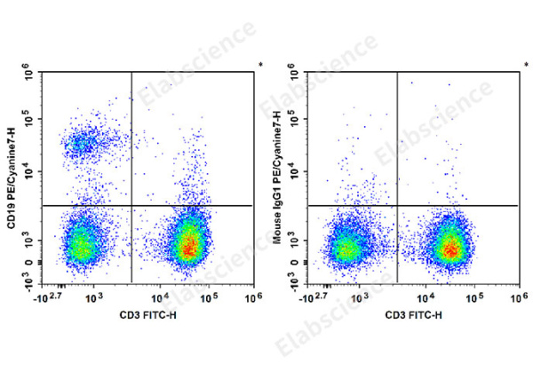 PE/Cyanine7 Anti-Human CD19 Antibody[4G7] (E-AB-F1127H)