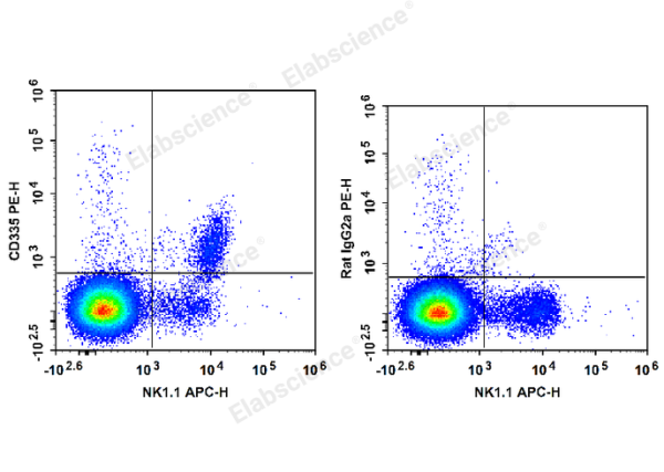PE Anti-Mouse CD335/NKp46 Antibody[29A1.4] (E-AB-F1182UD)