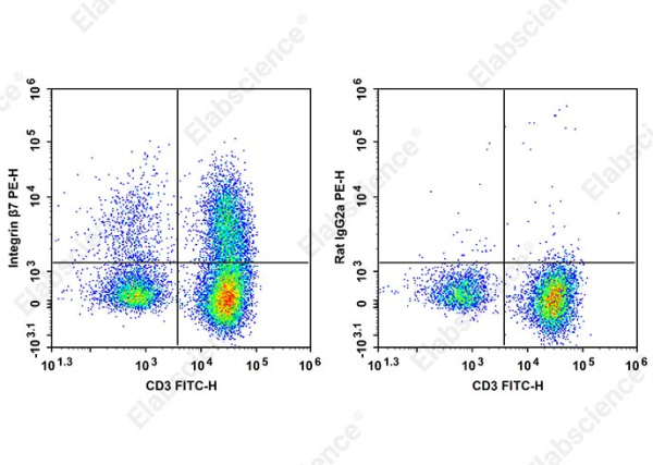 PE Anti-Human/Mouse Integrin β7 Antibody[FIB504] (AN00571D)