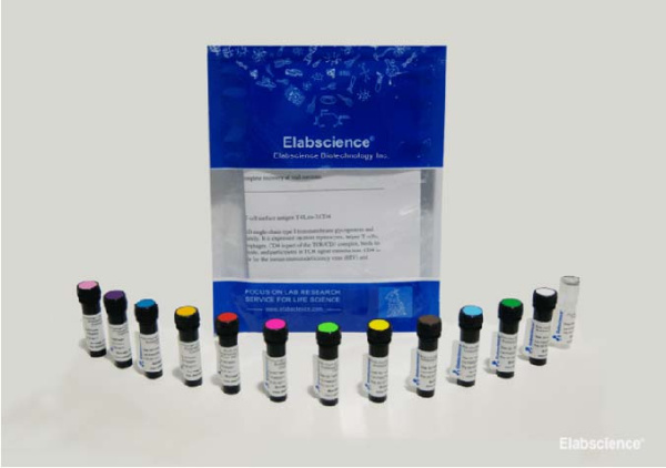 PerCP/Cyanine5.5 Anti-Human CD268 Antibody[11C1] (AN00316J)