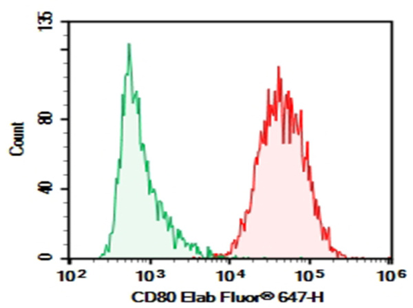 AF/LE Purified Anti-Human CD80 Antibody[2D10] (E-AB-F12320)