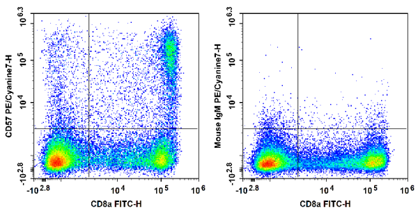 PE/Cyanine7 Anti-Human CD57 Antibody[HNK-1] (E-AB-F1067H)