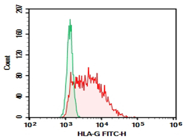 Purified Anti-Human HLA-G Antibody[87G] (AN002910P)
