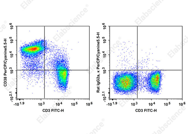 PerCP/Cyanine5.5 Anti-Mouse CD38 Antibody[90] (AN00858J)