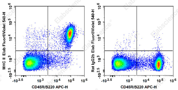 Elab Fluor® Violet 540 Anti-Mouse MHC II (I-A/I-E) Antibody[M5/114] (E-AB-F0990T3)