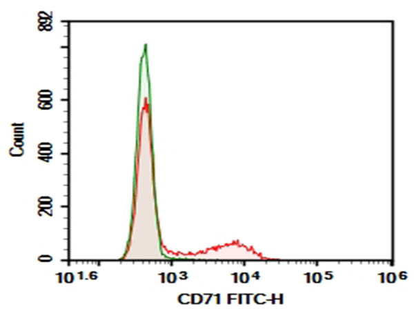 AF/LE Purified Anti-Rat CD71 Antibody[OX-26] (AN006220)