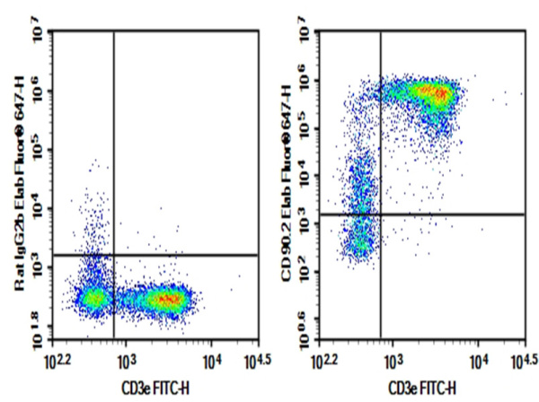 AF/LE Purified Anti-Mouse CD90.2/Thy1.2 Antibody[30H12] (E-AB-F10940)