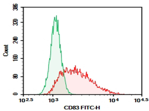 Purified Anti-Human CD83 Antibody[HB15e] (E-AB-F09930P)