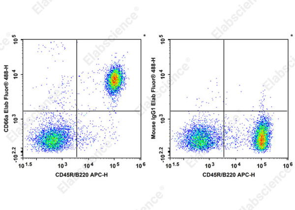 Elab Fluor® 488 Anti-Mouse CD66A Antibody[Mab-CC1] (AN00328L)