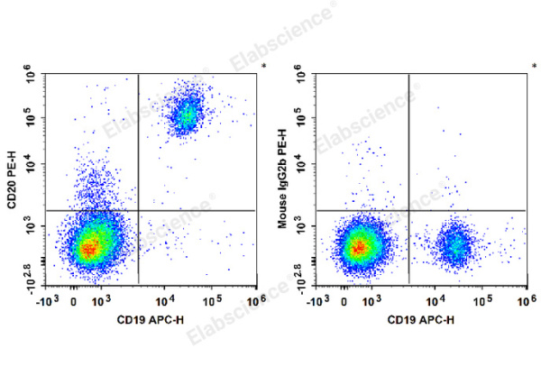 PE Anti-Human/Monkey CD20 Antibody[2H7] (E-AB-F1212D)