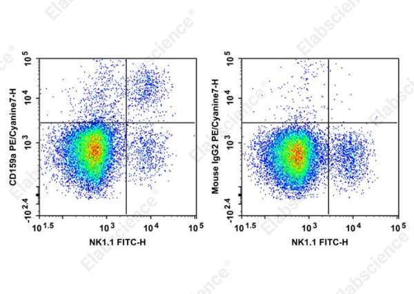 PE/Cyanine7 Anti-Mouse CD159a Antibody[16A11] (AN00658H)