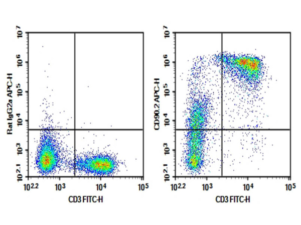 Purified Anti-Mouse CD90.2 Antibody[53-2.1] (AN009390P)