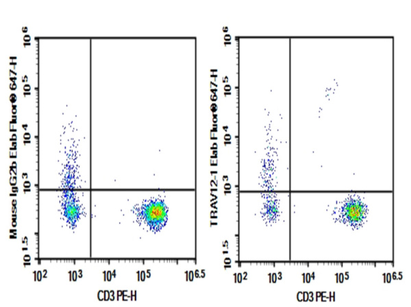 Purified Anti-Human TRAV12-1 Antibody[S511] (AN003730P)