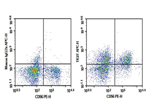 Purified Anti-Human TIGIT Antibody[A15153G] (AN009730P)