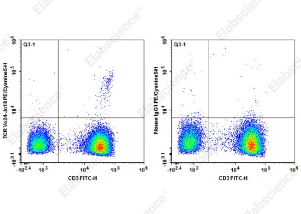 PE/Cyanine5 Anti-Human TCR Vα24-Jα18 Antibody[6B11] (AN00568G)