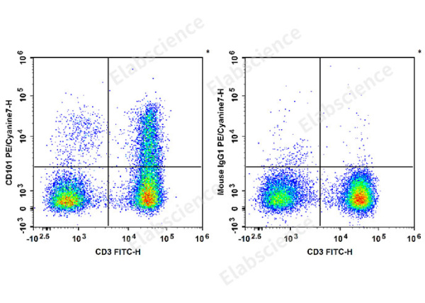 PE/Cyanine7 Anti-Human CD101 Antibody[BB27] (E-AB-F1361H)
