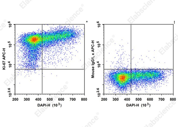 APC Anti-Human Ki-67 Antibody[3B7] (AN00540E)