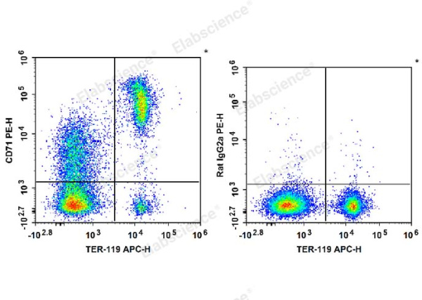 PE Anti-Mouse CD71 Antibody[R17 217.1.3/TIB-219] (E-AB-F1093D)