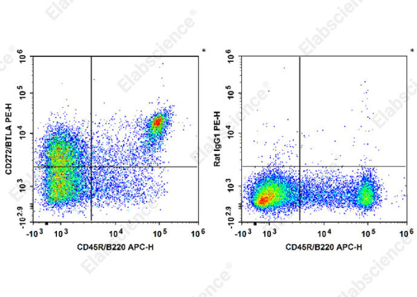 PE Anti-Mouse CD272/BTLA Antibody[PK18.6] (E-AB-F1024D)