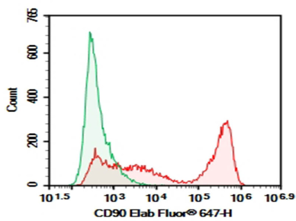 AF/LE Purified Anti-Mouse CD90 Antibody[M5/49.4.1] (E-AB-F12830)