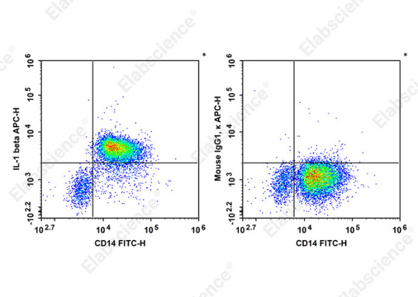 APC Anti-Human IL-1 beta Antibody[CRM56] (AN00842E)
