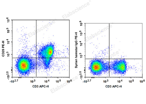 PE Anti-Mouse CD28 Antibody[37.51] (E-AB-F1026UD)