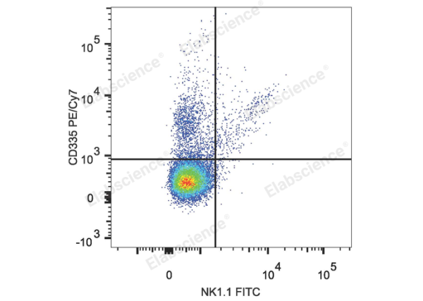 PE/Cyanine7 Anti-Mouse CD335/NKp46 Antibody[29A1.4] (E-AB-F1182UH)