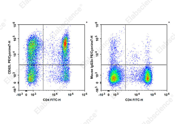PE/Cyanine7 Anti-Human CD62L Antibody[HI62L] (E-AB-F1336H)