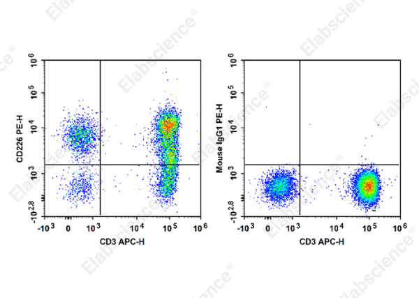 PE Anti-Human CD226/DNAM-1 Antibody[11A8] (E-AB-F1369D)