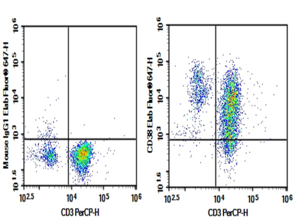 Purified Anti-Human CD38 Antibody[HIT2] (E-AB-F1058A)