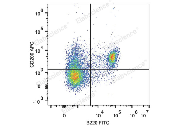 APC Anti-Mouse CD200/OX2 Antibody[OX-90] (E-AB-F1234E)