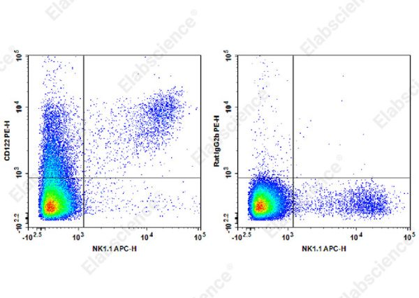 PE Anti-Mouse CD122 Antibody[TM-Beta 1] (AN00418D)