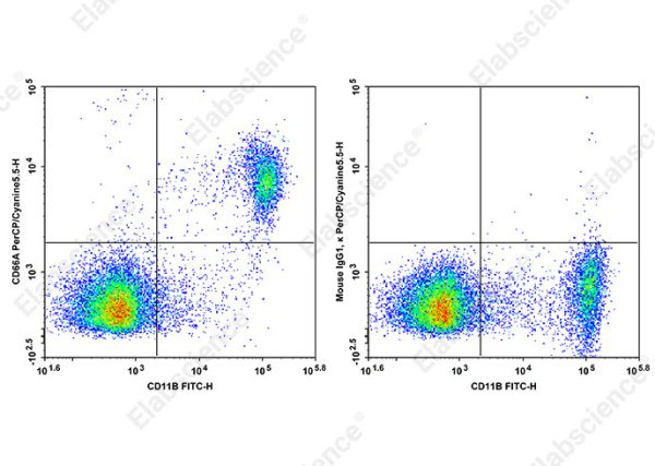 PerCP/Cyanine5.5 Anti-Mouse CD66A Antibody[Mab-CC1] (AN00328J)