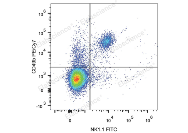PE/Cyanine7 Anti-Mouse CD49b/pan-NK cells Antibody[DX5] (E-AB-F1116H)