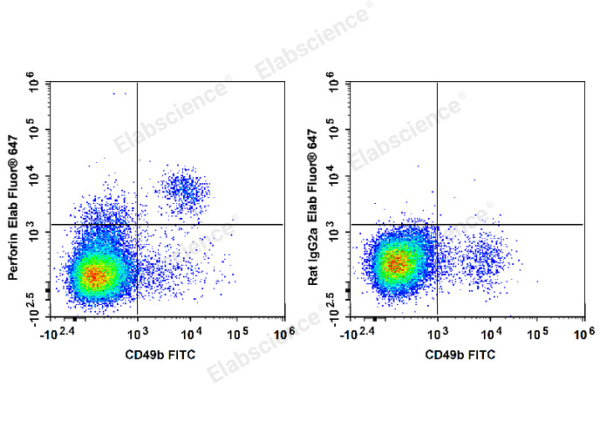 Elab Fluor® 647 Anti-Mouse Perforin Antibody[S16009A] (E-AB-F1294UM)