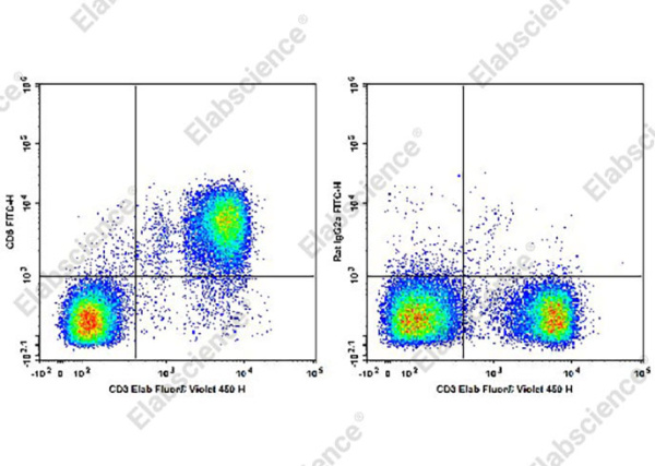 FITC Anti-Mouse CD6 Antibody[OX-129] (AN00327C)