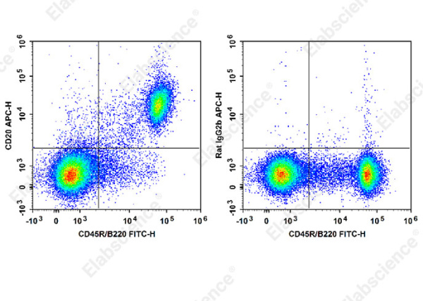 APC Anti-Mouse CD20 Antibody[SA271G2] (E-AB-F1403E)