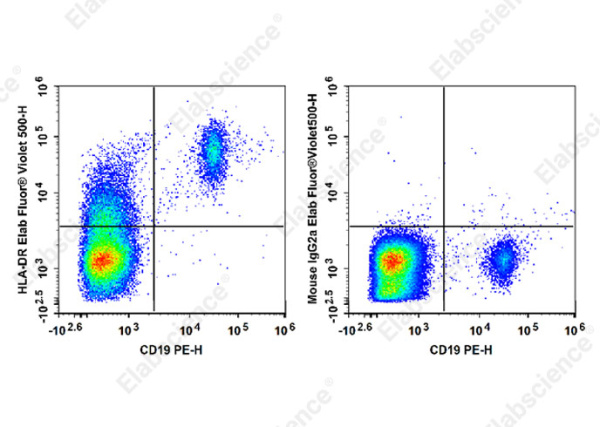 Elab Fluor® Violet 500 Anti-Human HLA-DR Antibody[L243] (E-AB-F1111R)