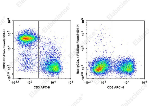 PE/Elab Fluor® 594 Anti-Mouse CD38 Antibody[90] (AN00858P)