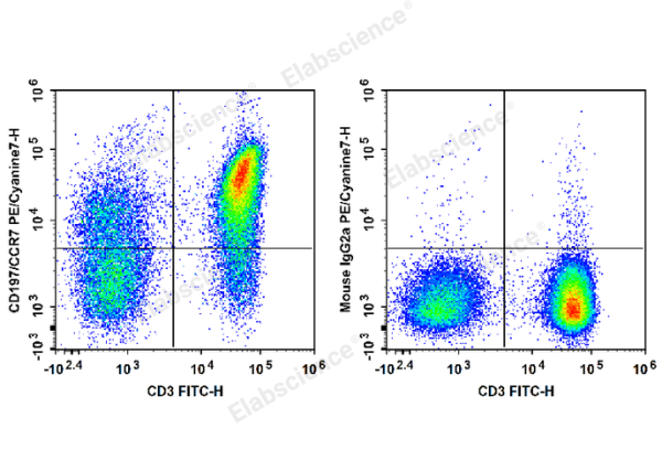 PE/Cyanine7 Anti-Human CD197/CCR7 Antibody[G043H7] (E-AB-F1159H)