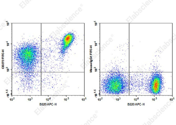 FITC Anti-Mouse CD272 Antibody[6F7] (AN00415C)