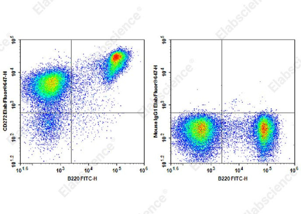 Elab Fluor® 647 Anti-Mouse CD272 Antibody[6F7] (AN00415UM)