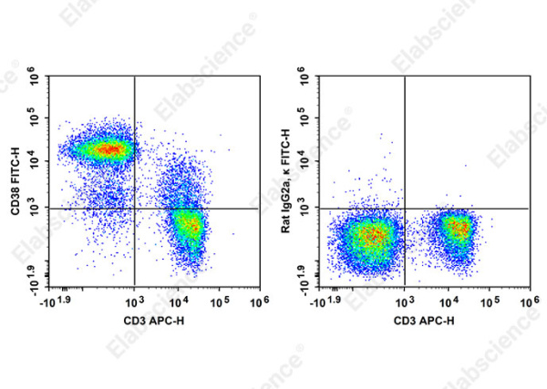 FITC Anti-Mouse CD38 Antibody[90] (AN00858C)