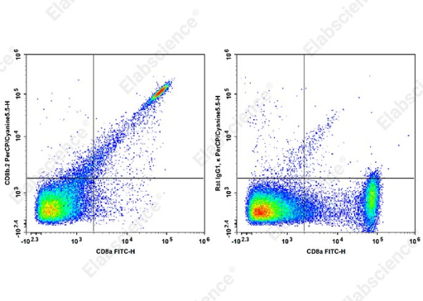 PerCP/Cyanine5.5 Anti-Mouse CD8b.2 Antibody[53-5.8] (AN00564J)
